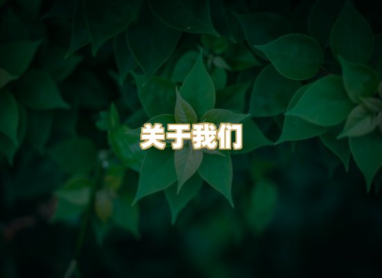 关于我们